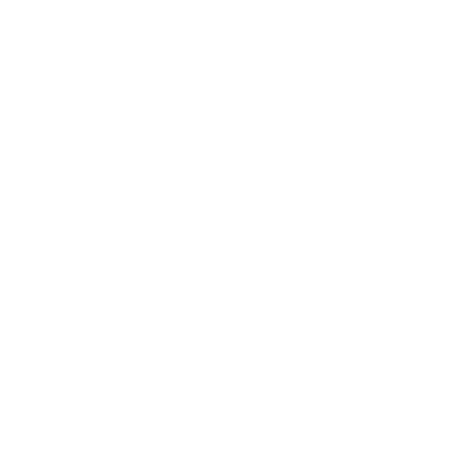 American Eagle Outfitters logo