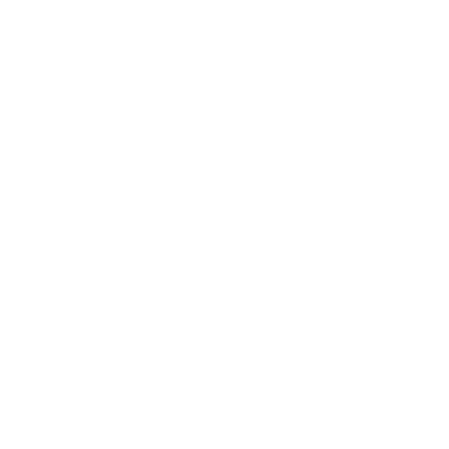 Essilor logo