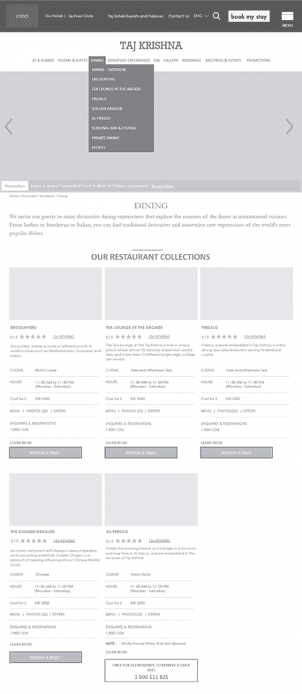 Taj website wireframe