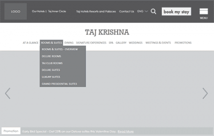 Taj website wireframe