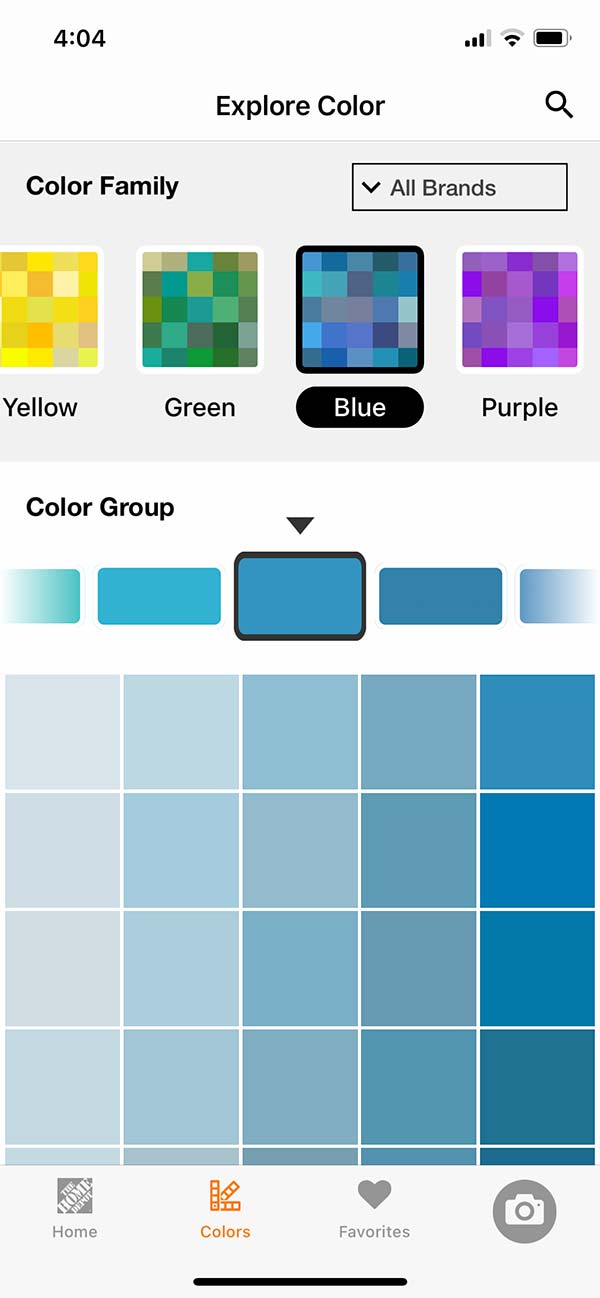Paint selection screen